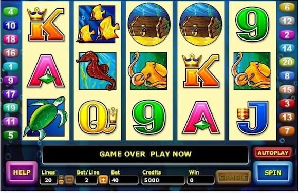 dolphin treasure review